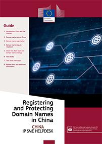 Registering and Protecting Chinese Domain Names