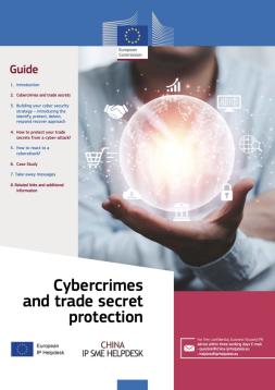 European IP Helpdesk Guide Cybercrimes