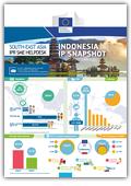 Indonesia IP snapshot