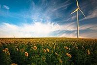 IP in the Field of Renewable Energies