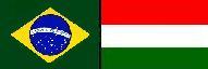Associação Econômica Câmara Empresarial de Comércio e Indústria Brasil-Hungria