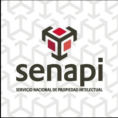 Servicio Nacional de Propiedad Intelectual - El Alto