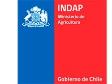  INDAP Ministerio de Agricultura