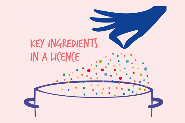 Key Ingredients in a Licence