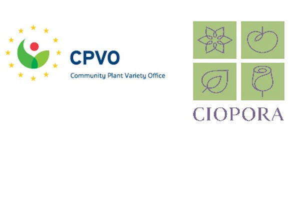 CPVO - CIOPORA (TOP)