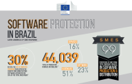 Infographic: Software protection in Brazil