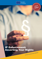 IP Enforcement: Asserting Your Rights