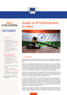 Guide to IP Enforcement in India_Image