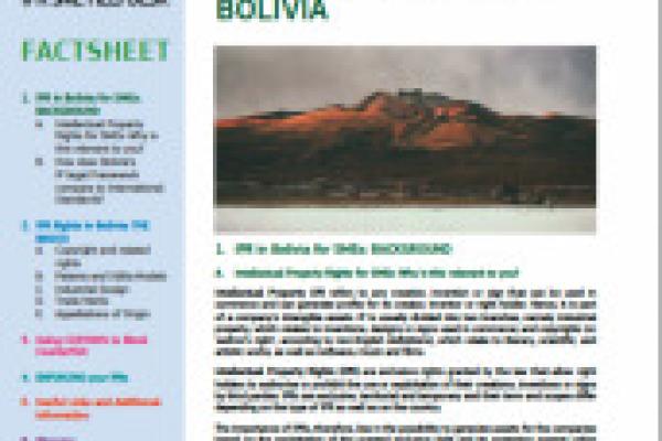 Bolivia IP Country Factsheet