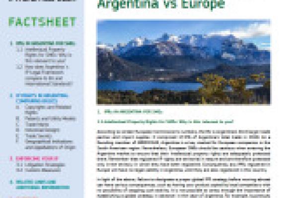 IP Systems Comparative: Argentina vs Europe