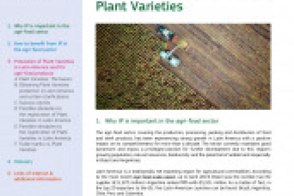 IP in the Agri-Food Sector (II): Plant Varieties