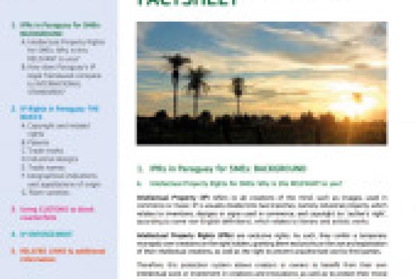 PARAGUAY IP Country Factsheet