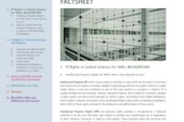 Central America IP Country Factsheet
