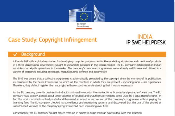 India IP SME Helpdesk Case Study Copyright