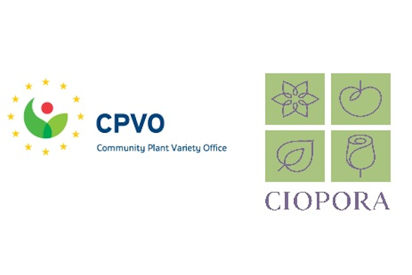 CPVO - CIOPORA