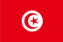Flag TUNISIA FR